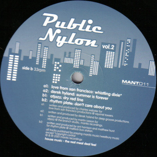 Various : Public Nylon Vol. 2 (12")