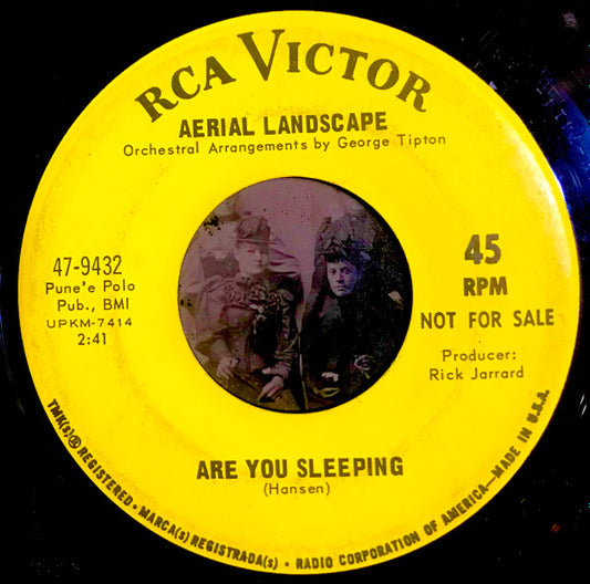 Aerial Landscape : Proposition 13 (7", Promo, Ind)