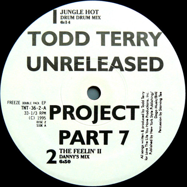 Todd Terry : Unreleased Project Part 7 (2x12", EP)