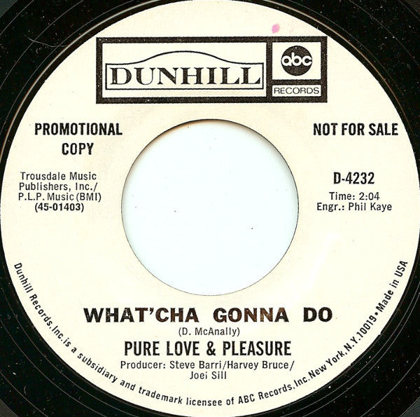 Pure Love & Pleasure* : All In My Mind (7", Promo)