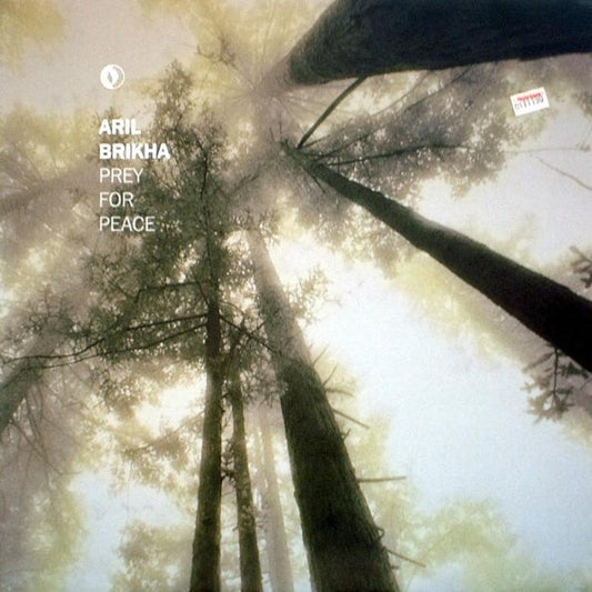 Aril Brikha : Prey For Peace (12")