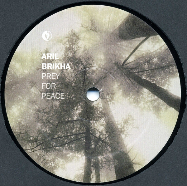 Aril Brikha : Prey For Peace (12")