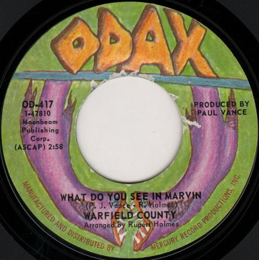 Warfield County : What Do You See In Marvin / Stained Glass Windows (7", Single)