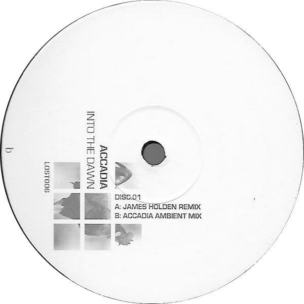 Accadia : Into The Dawn (12", Dis)