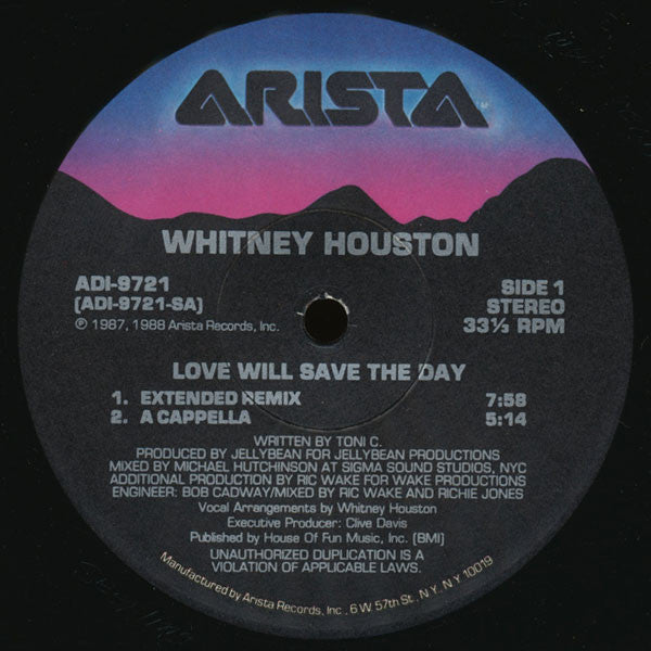 Whitney Houston : Love Will Save The Day (12")