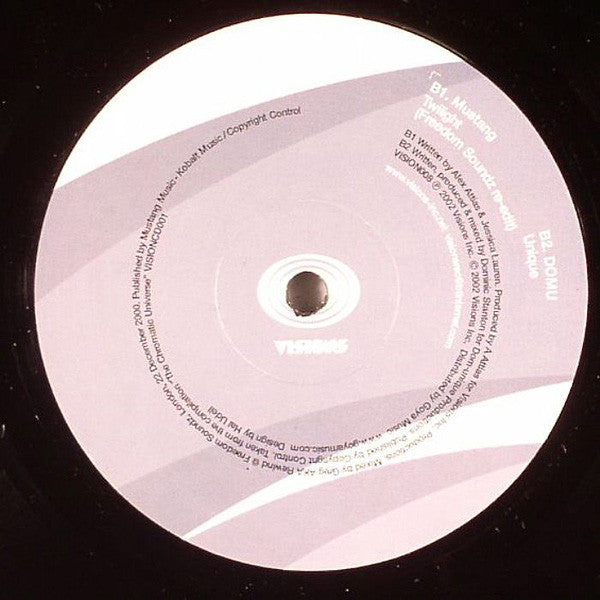 Various : The Chromatic Universe Sampler (12", Smplr)