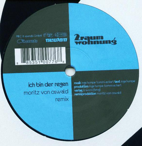 2raumwohnung : Mir Kann Nichts Passieren / Ich Bin Der Regen (12")