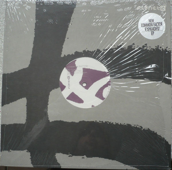 Common Factor : Expanded EP (12", EP)