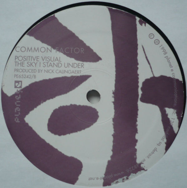Common Factor : Expanded EP (12", EP)