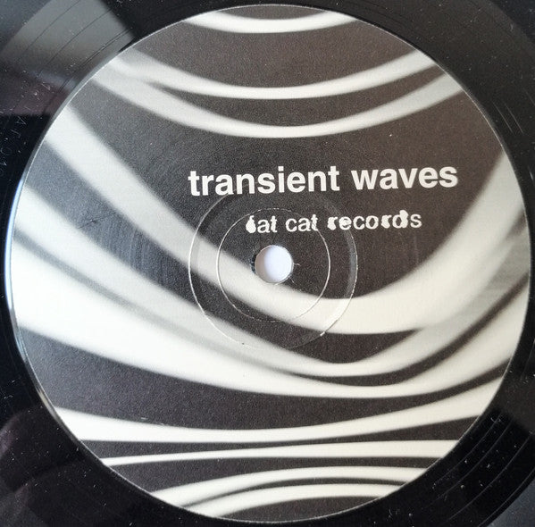 Transient Waves : Born With A Body And Fucked In The Head (12")