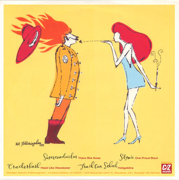 Various : Teriyaki Asthma IX (7", Ltd)