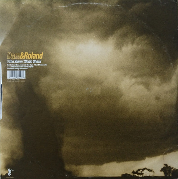 Dom & Roland : The Storm (12")