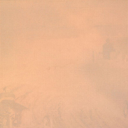 Schmoov* : Chicken Grease (12")