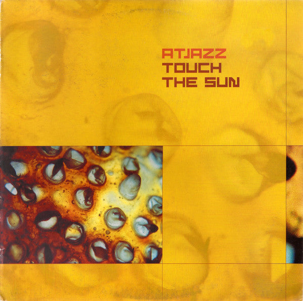 Atjazz : Touch The Sun (12")