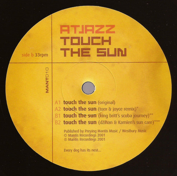 Atjazz : Touch The Sun (12")