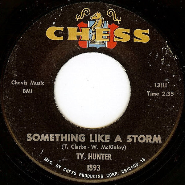Ty Hunter : Bad Loser / Something Like A Storm (7")