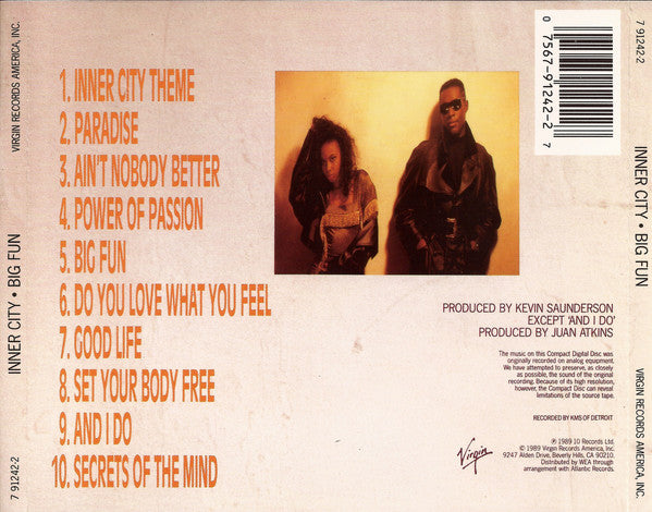 Inner City : Big Fun (CD, Album)