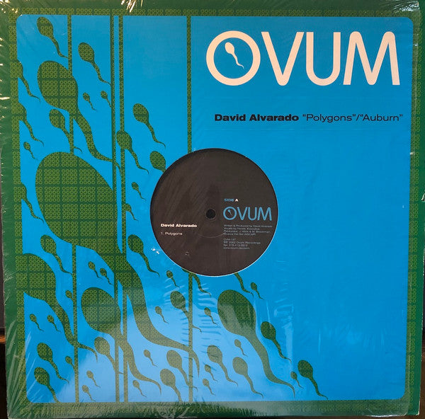 David Alvarado : Polygons / Auburn (12")