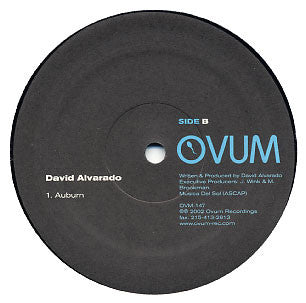 David Alvarado : Polygons / Auburn (12")