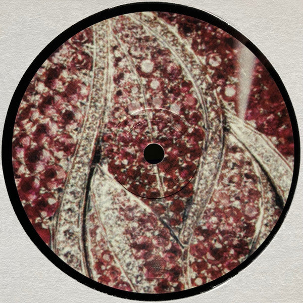 Various : Pop Ambient 2005 (LP, Comp)