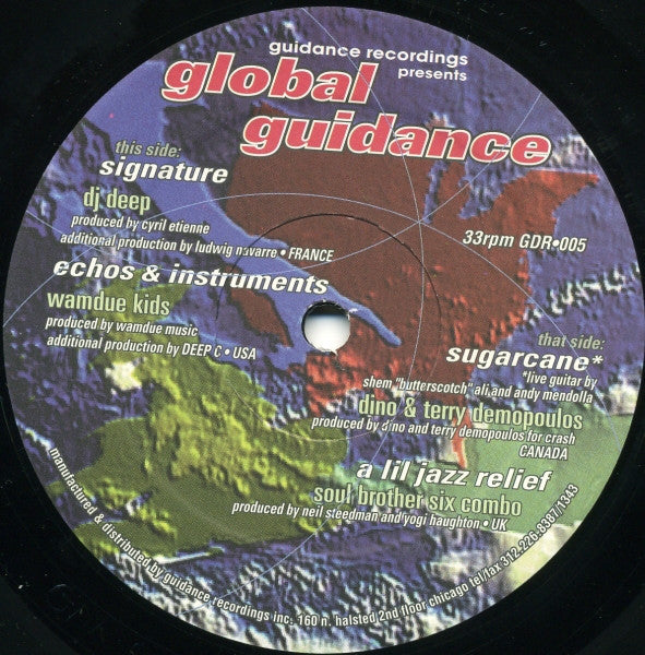 Various : Global Guidance (12")