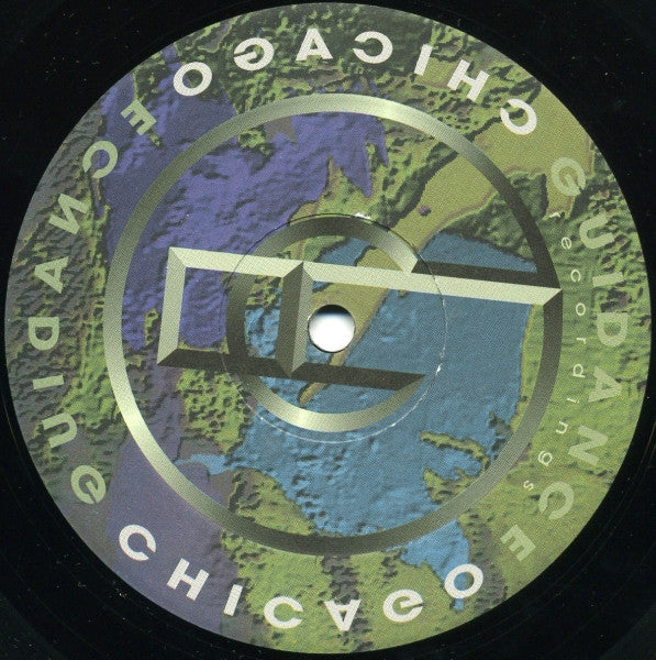 Various : Global Guidance (12")