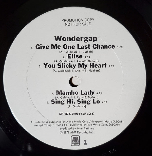 Wondergap : Wondergap (LP, Album, Promo)