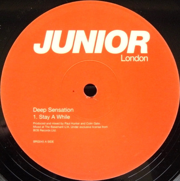 Deep Sensation : Stay A While (12")