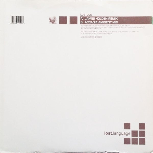 Accadia : Into The Dawn (12", Dis)