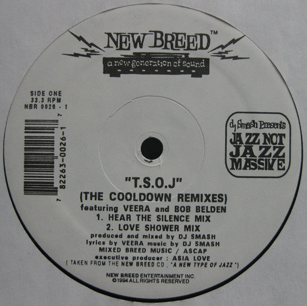 Jazz Not Jazz : T.S.O.J. (The Cooldown Mixes) (12")