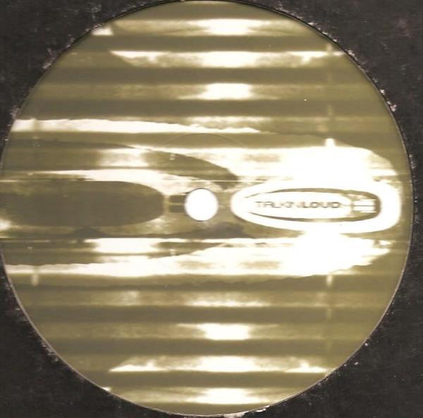 Roni Size / Reprazent : Watching Windows (12", Promo)