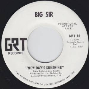 Big Sir (2) : Heart Teaser, Crowd Pleaser (7", Promo)