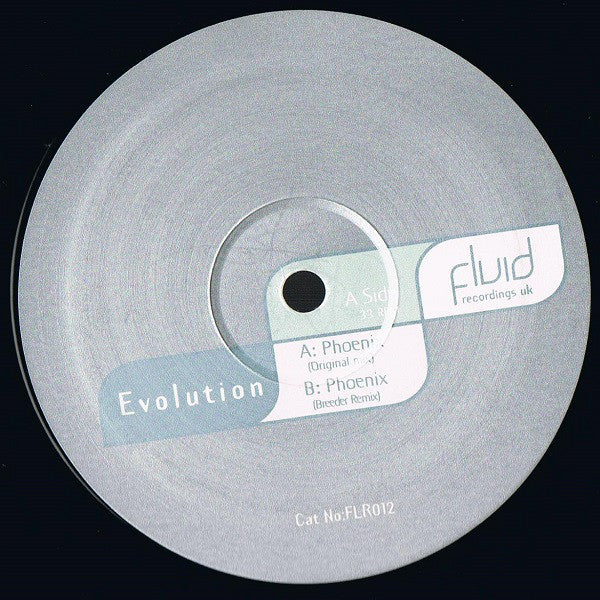 Evolution : Phoenix (12")