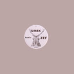 Umek : Audio (2xLP, Album)