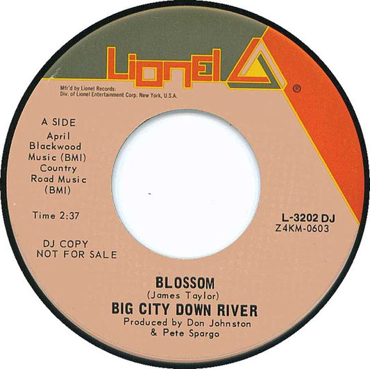 Big City Down River : Blossom / Lynsong (7", Single, Promo)