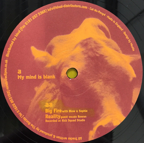 The Rurals : My Mind Is Blank (12")